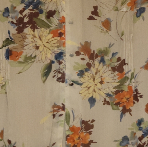 Sheer button down blouse - Picture 3 of 3